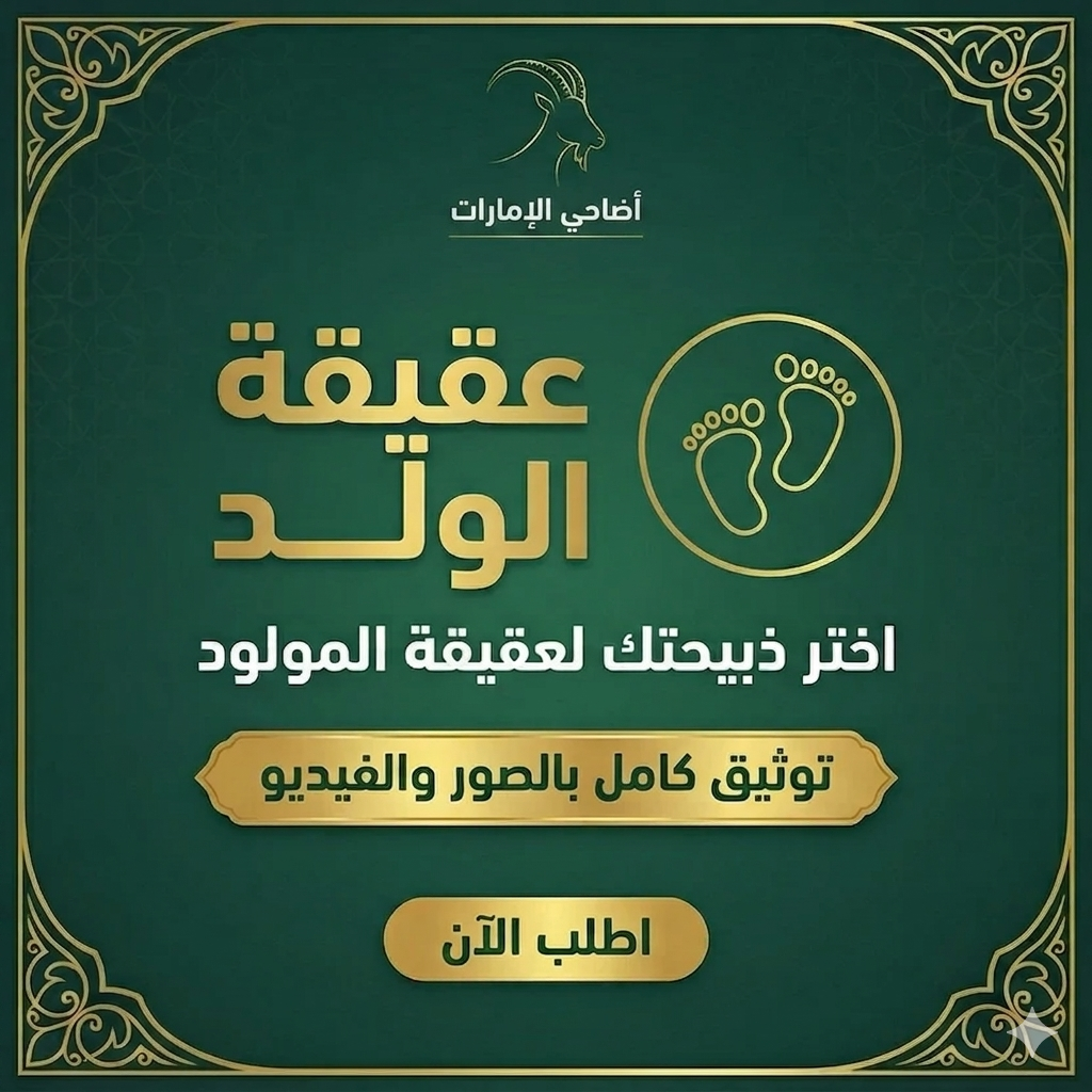 عقيقة ولد